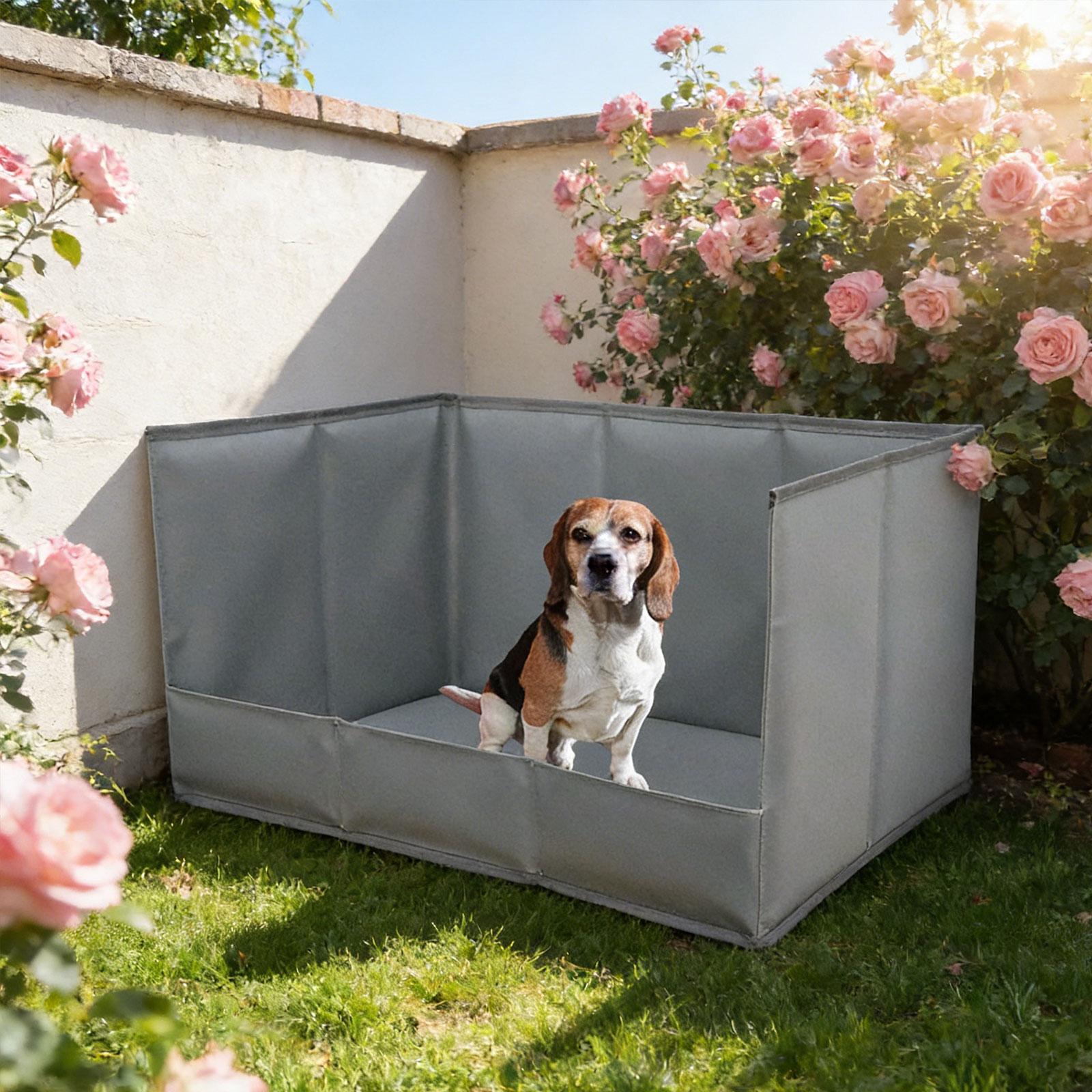 ถาดรองฉี่สุนัขแบบพกพาสำหรับใช้ - Bench Dog Hole บทวิจารณ์และราคา